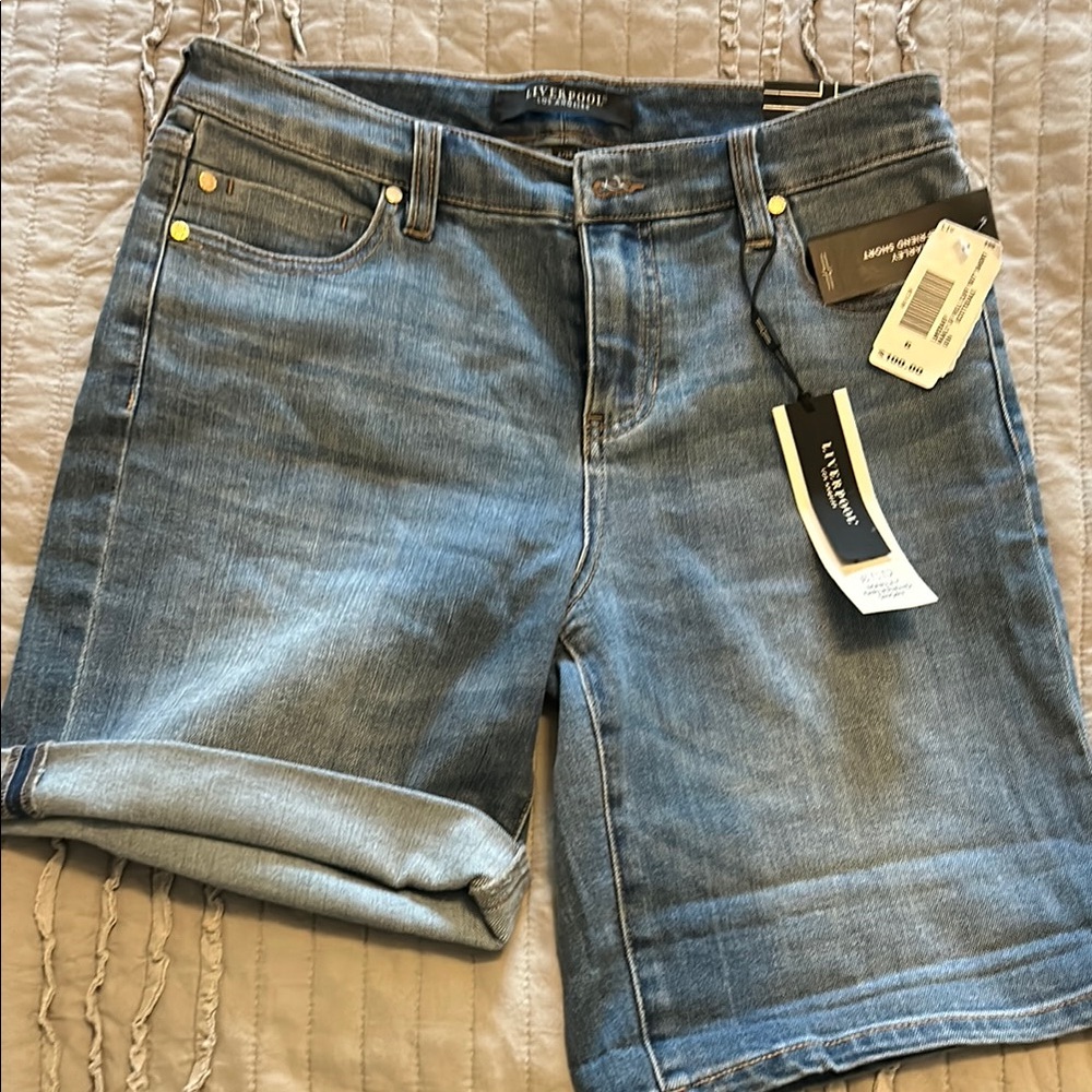 Men's Blue Denim Shorts